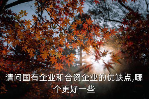 請(qǐng)問國有企業(yè)和合資企業(yè)的優(yōu)缺點(diǎn),哪個(gè)更好一些