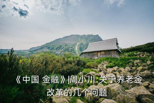 《中國 金融》|周小川:關于養(yǎng)老金改革的幾個問題