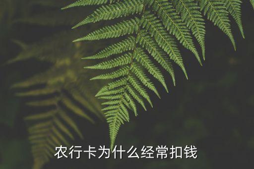 農(nóng)行卡為什么經(jīng)?？坼X