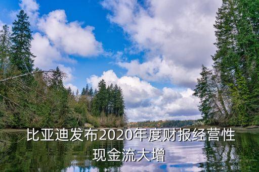  比亞迪發(fā)布2020年度財報經營性現金流大增