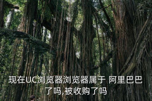 現(xiàn)在UC瀏覽器瀏覽器屬于 阿里巴巴了嗎,被收購(gòu)了嗎