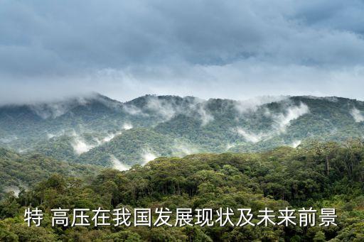 特 高壓在我國發(fā)展現(xiàn)狀及未來前景