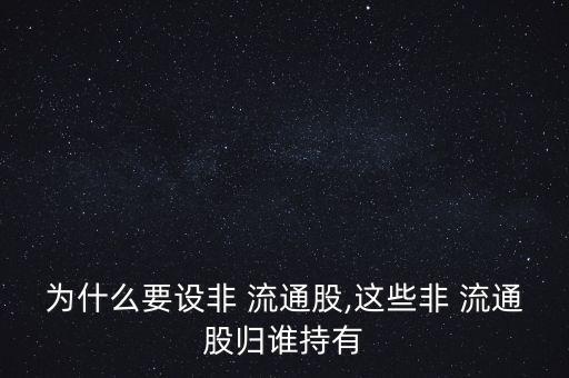 為什么要設非 流通股,這些非 流通股歸誰持有