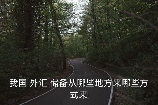 中國的外匯儲(chǔ)備的來源,外匯儲(chǔ)備來源及構(gòu)成