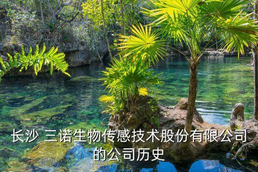 長(zhǎng)沙 三諾生物傳感技術(shù)股份有限公司的公司歷史