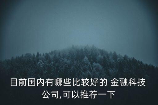 目前國(guó)內(nèi)有哪些比較好的 金融科技 公司,可以推薦一下