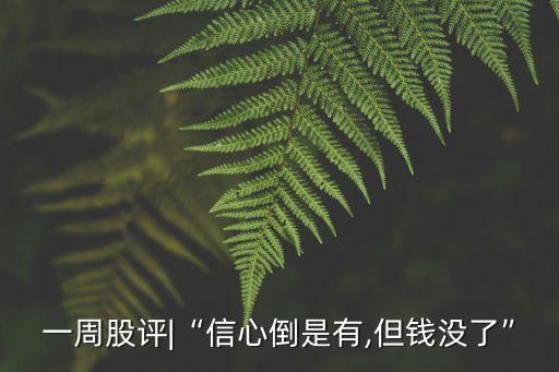 一周股評(píng)|“信心倒是有,但錢沒了”