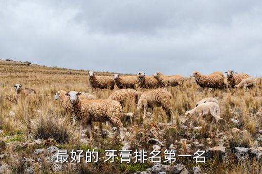 最好的 牙膏排名第一名