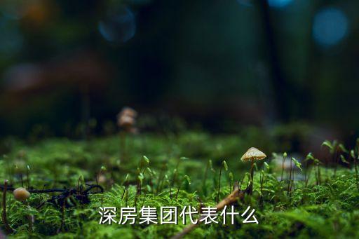 深圳市深天地產(chǎn)有限公司招聘