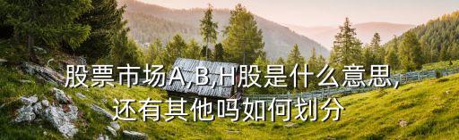  股票市場(chǎng)A,B,H股是什么意思,還有其他嗎如何劃分