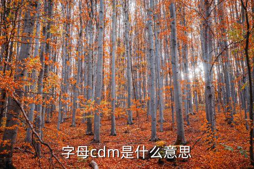 北京銀行CDM什么意思,cdm取款機(jī)什么意思