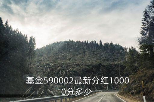  基金590002最新分紅10000分多少