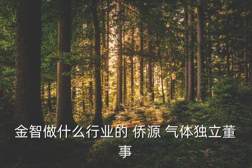 僑源氣體公司,喬志涌僑源氣體