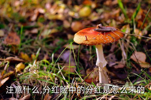 保險公司的當年現(xiàn)金紅利哪里來,我國大部分保險公司采用現(xiàn)金紅利