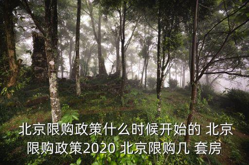  北京限購政策什么時候開始的 北京限購政策2020 北京限購幾 套房