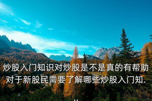 炒股入門知識(shí)對(duì)炒股是不是真的有幫助對(duì)于新股民需要了解哪些炒股入門知...