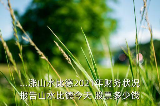 ...漲山水比德2021年財(cái)務(wù)狀況報(bào)告山水比德今天 股票多少錢(qián)