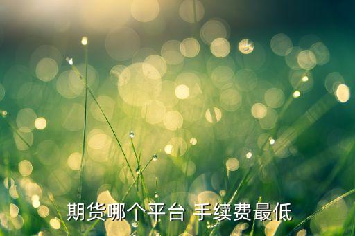  期貨哪個(gè)平臺(tái) 手續(xù)費(fèi)最低