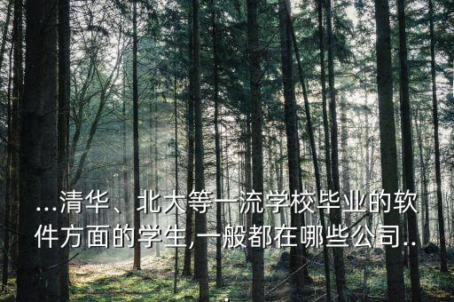 ...清華、北大等一流學(xué)校畢業(yè)的軟件方面的學(xué)生,一般都在哪些公司...