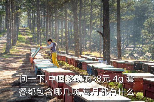 問(wèn)一下,中國(guó)移動(dòng)的38元 4g 套餐都包含哪幾項(xiàng),每月都有什么