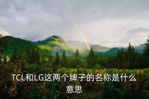 TCL和LG這兩個牌子的名稱是什么意思