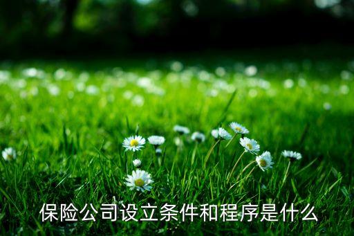  保險(xiǎn)公司設(shè)立條件和程序是什么