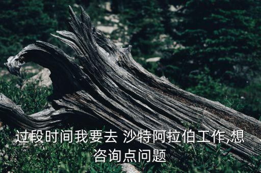 過段時(shí)間我要去 沙特阿拉伯工作,想咨詢點(diǎn)問題