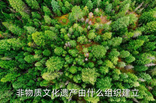 非物質(zhì)文化遺產(chǎn)由什么組織建立