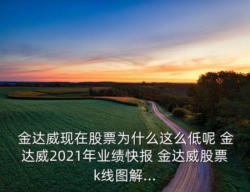  金達(dá)威現(xiàn)在股票為什么這么低呢 金達(dá)威2021年業(yè)績(jī)快報(bào) 金達(dá)威股票k線圖解...