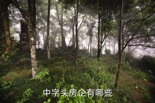 河北威遠(yuǎn)房地產(chǎn)開發(fā)有限公司,山西銘基房地產(chǎn)開發(fā)有限公司