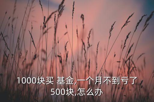 1000塊買 基金,一個(gè)月不到虧了500塊,怎么辦