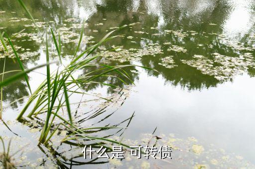 什么是 可轉(zhuǎn)債