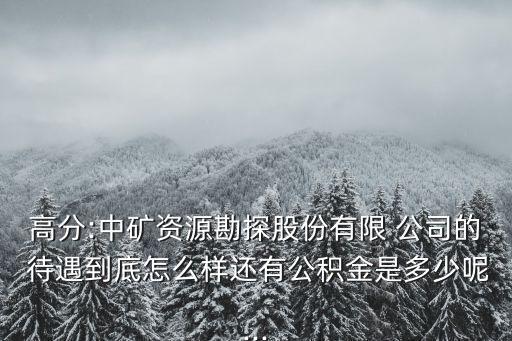 中國(guó)有色礦業(yè)公司海外待遇,金誠(chéng)信礦業(yè)公司海外待遇