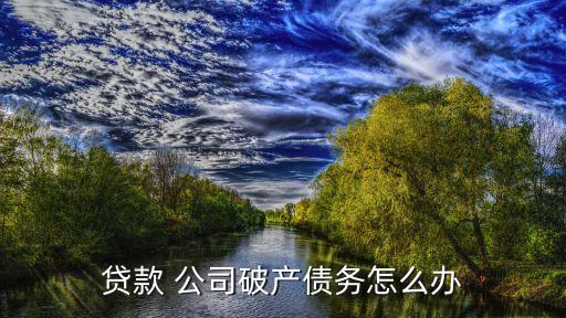 貸款 公司破產(chǎn)債務(wù)怎么辦