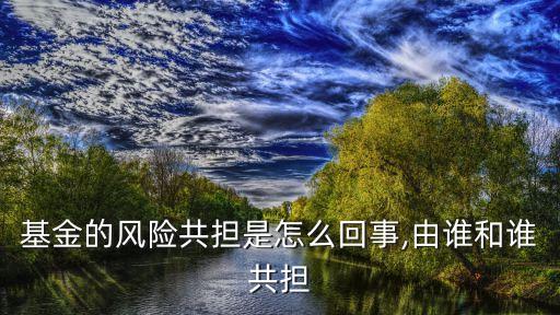 基金的風(fēng)險(xiǎn)共擔(dān)是怎么回事,由誰和誰共擔(dān)