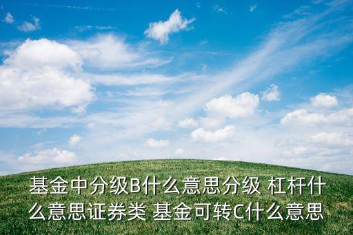  基金中分級B什么意思分級 杠桿什么意思證券類 基金可轉C什么意思