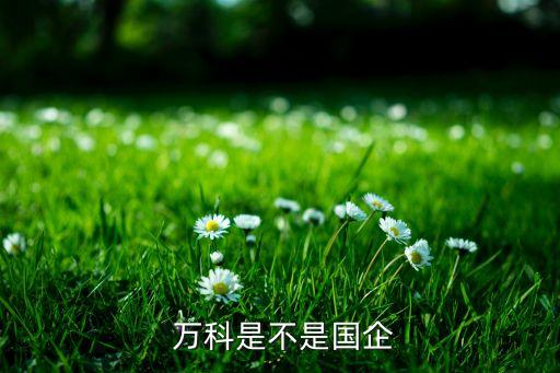 萬科公司治理結(jié)構(gòu)圖,四會(huì)一層公司治理結(jié)構(gòu)圖