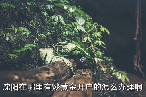 沈陽(yáng)在哪里有炒黃金開(kāi)戶(hù)的怎么辦理啊