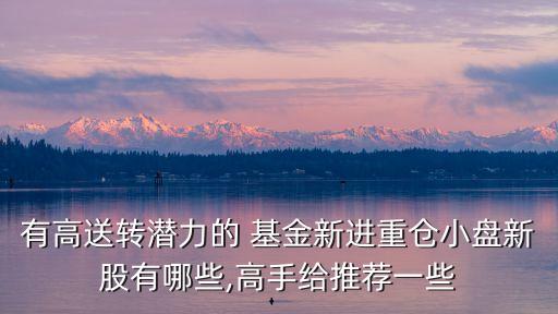 有高送轉潛力的 基金新進重倉小盤新股有哪些,高手給推薦一些