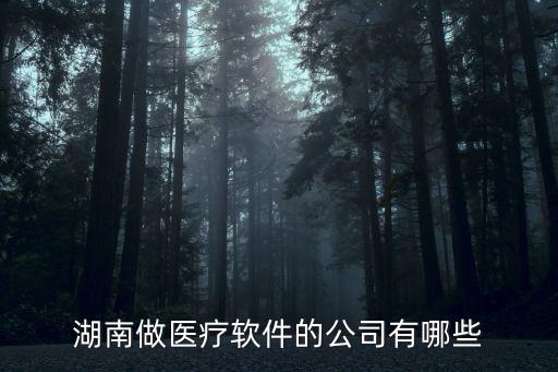 湖南做醫(yī)療軟件的公司有哪些