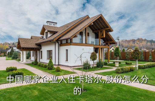 中國(guó)哪家企業(yè)入住卡塔爾,股份怎么分的