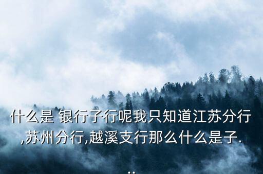 什么是 銀行子行呢我只知道江蘇分行,蘇州分行,越溪支行那么什么是子...