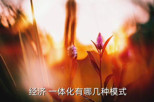 中國的區(qū)域經(jīng)濟一體化,區(qū)域經(jīng)濟一體化對國際貿(mào)易的影響