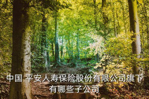 中國 平安人壽保險(xiǎn)股份有限公司旗下有哪些子公司