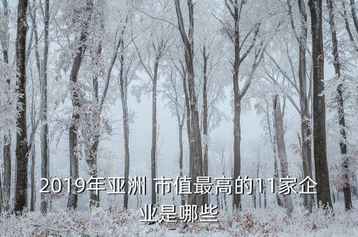 2019年亞洲 市值最高的11家企業(yè)是哪些