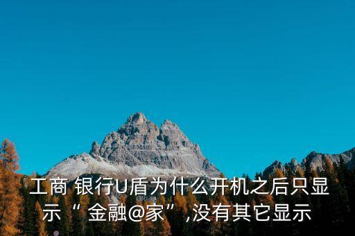  工商 銀行U盾為什么開機之后只顯示“ 金融@家”,沒有其它顯示