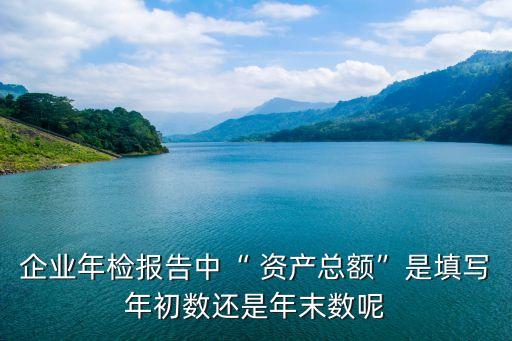 企業(yè)年檢報(bào)告中“ 資產(chǎn)總額”是填寫年初數(shù)還是年末數(shù)呢