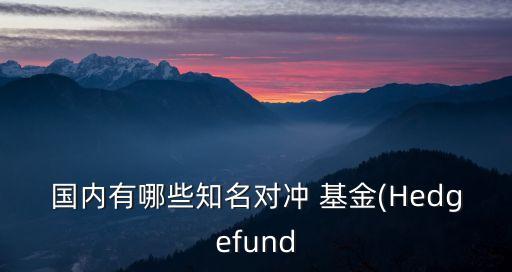 國內有哪些知名對沖 基金(Hedgefund