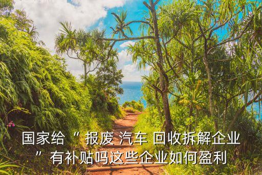 國(guó)家給“ 報(bào)廢 汽車 回收拆解企業(yè)”有補(bǔ)貼嗎這些企業(yè)如何盈利