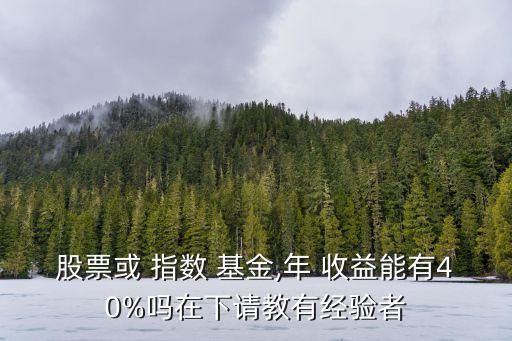 股票或 指數(shù) 基金,年 收益能有40%嗎在下請教有經(jīng)驗者